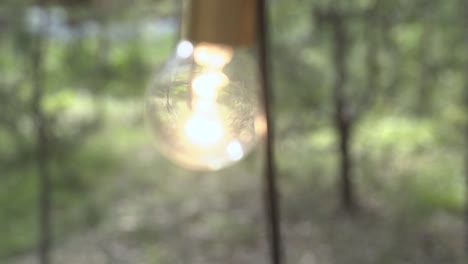 incandescent lamp is on in the forest 2 slow motion