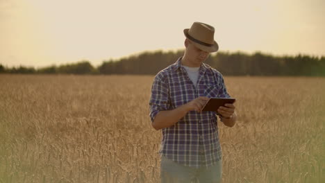 farmer using tablet in wheat field. scientist working in field with agriculture technology. close up of man hand touching tablet pc in wheat stalks. agronomist researching wheat ears