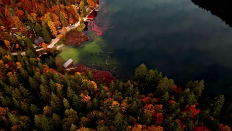 Top-View-Of-Colorful-Forest-At-The-Lakeshore-Of-Toplitz-During-Autumn-In-Austria