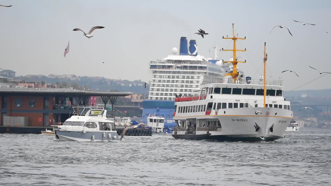 Ferry and Cruise Ship on the Water