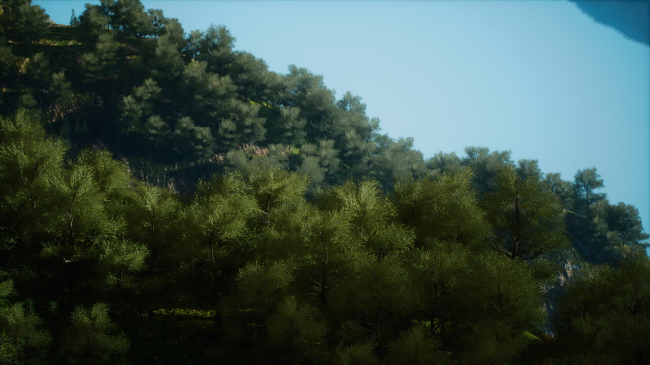 언덕의 울창한 초록 숲의 멋진 풍경