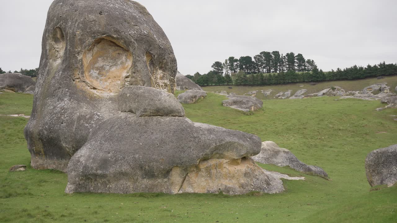 las rocas de elefante en los pastos verdes de nueva zelanda