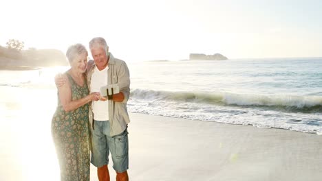 una vieja pareja jubilada tomando una selfie juntos