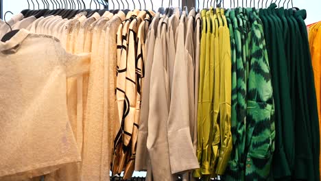 a woman shops for clothes in a store