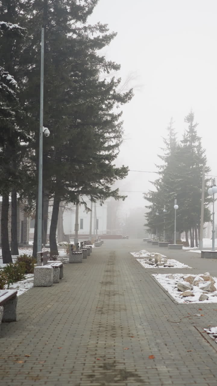 Foggy atmosphere with snow-covered light poles, leafless trees, and residential buildings lining peaceful paved pathway, while birds fly in distance adding motion to calm wintry scenery