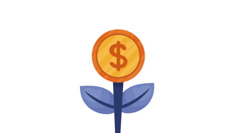 golden coin money plant animation