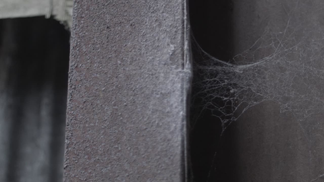 Spider web abandoned building apocalyptic