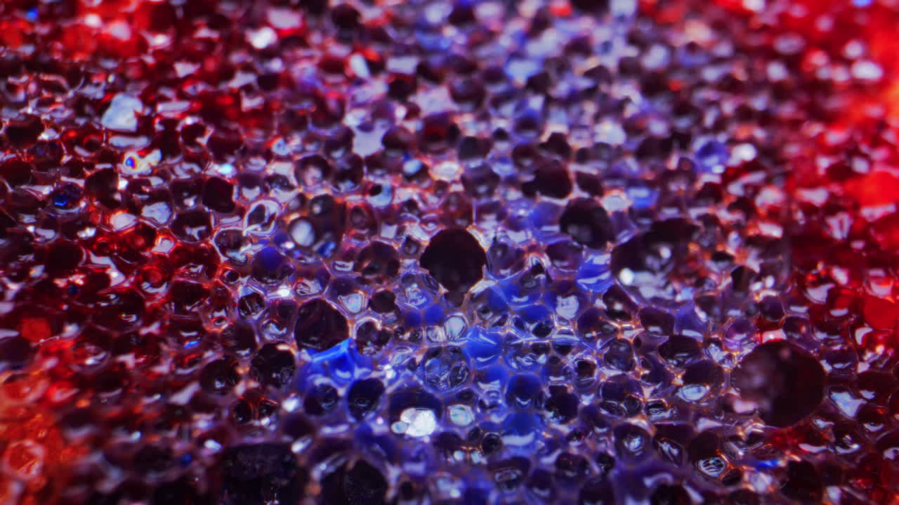 Close-up view of a textured, multicolored sponge