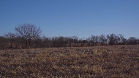 An-open-field-with-a-slight-breeze