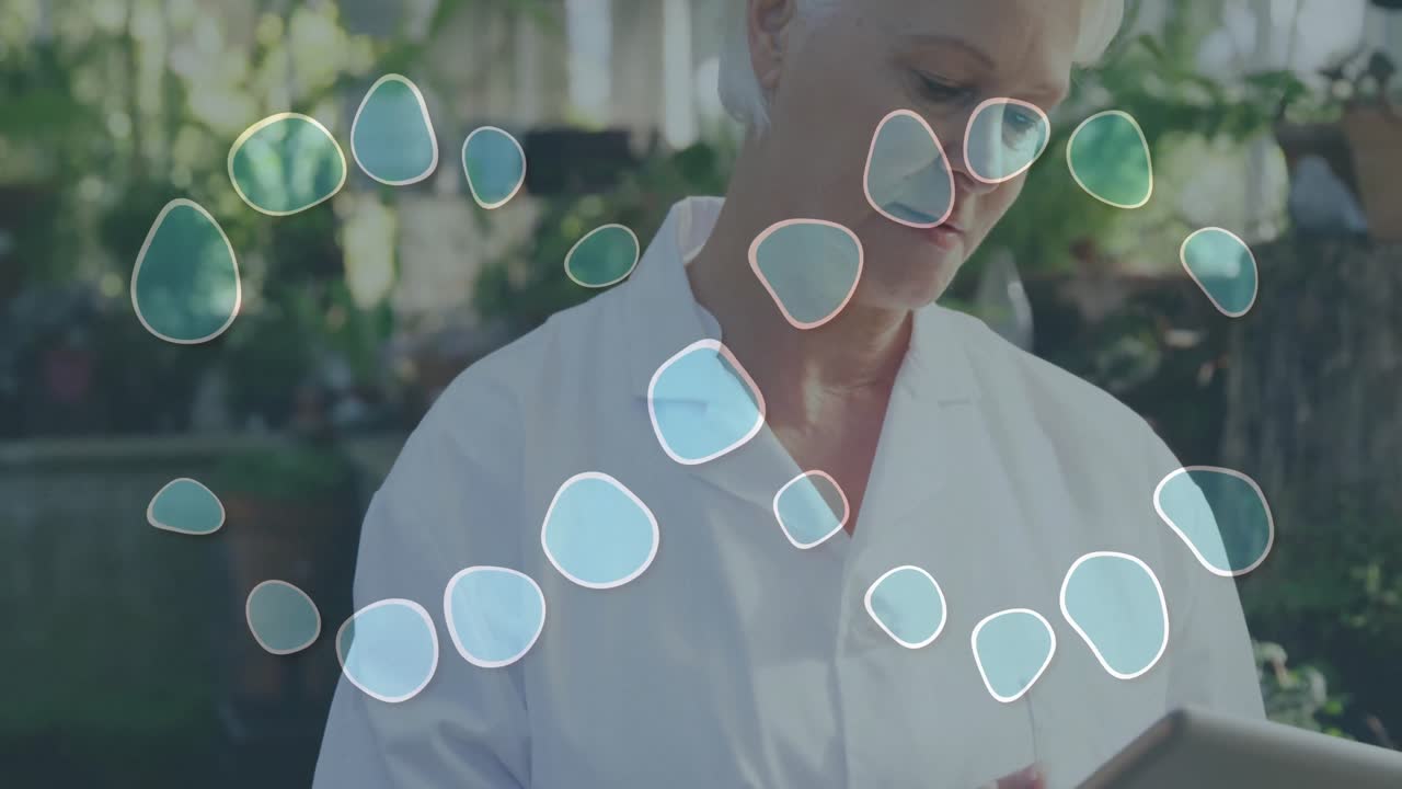 Mulher idosa usando tablet no jardim, ativando gráficos de seixos circulando a tela para demonstração de tecnologia