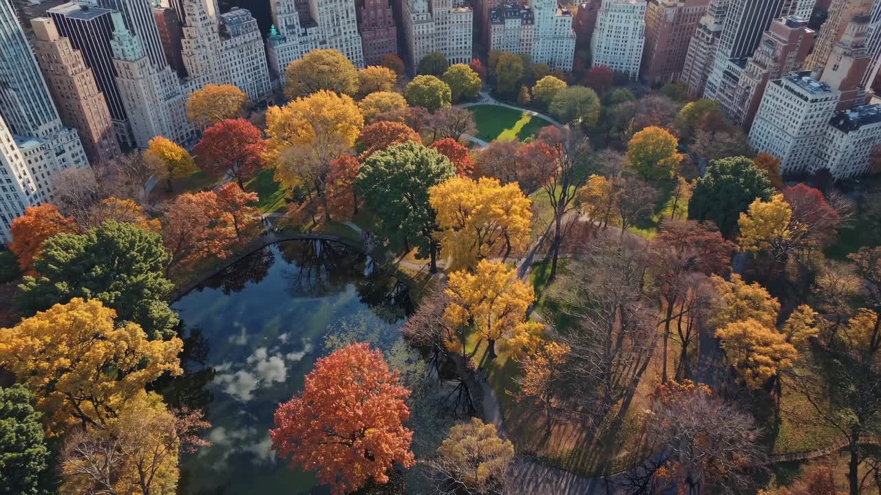 Aerial video captures vibrant autumn trees in a city park, surrounded by skyscrapers