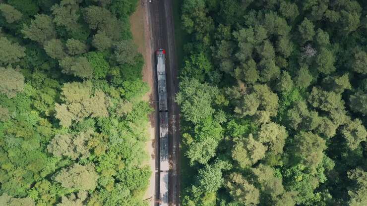 el tren va a lo largo del ferrocarril a través del bosque de verano. vista aérea desde un avión no tripulado
