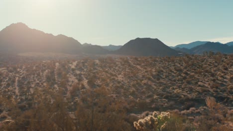 Una-Amplia-Toma-Matutina-Del-Desierto