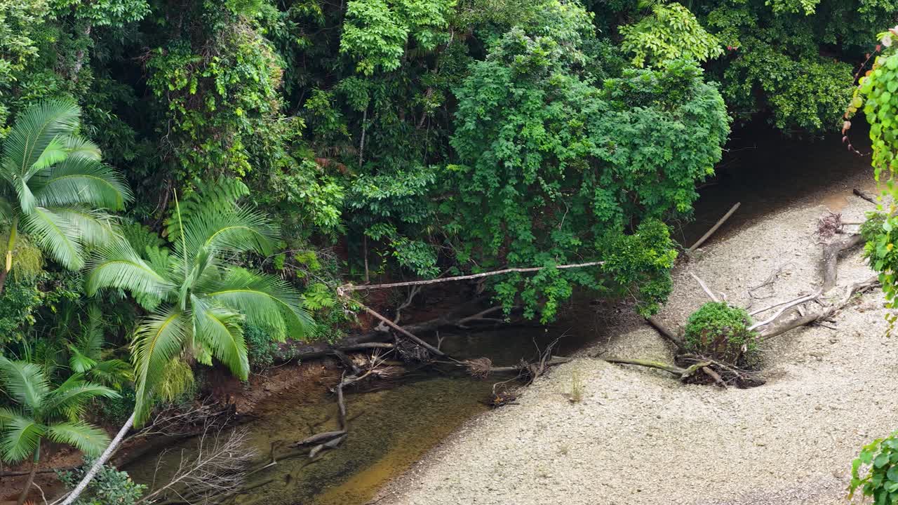 Aerial camera smoothly pans above lush rainforest canopy and winding stream in natural daylight