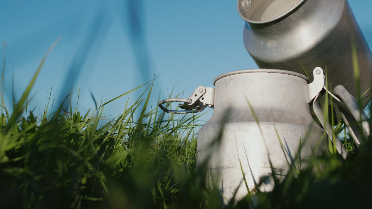 miilkman은 캔에 우유를 붓는다 1