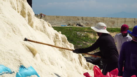 loading salt into bags for transportation in salt mines just outside phan rang