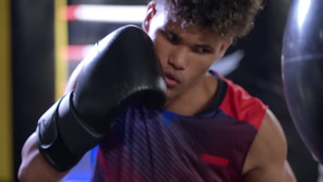 boxer training with punching bag