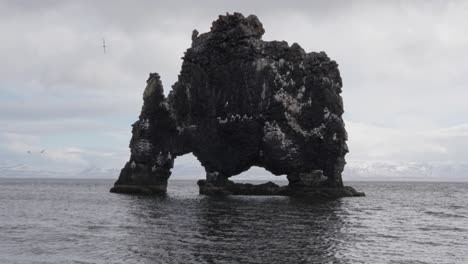 drone take off toward hvitserkur rock formation and flying seabirds