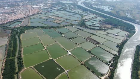 Mai-Po-Naturschutzgebiet-Und-Feuchtgebiete,-Hongkong,-Luftbild