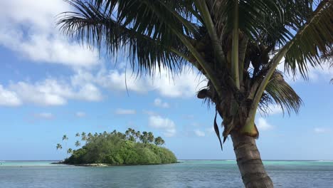 rarotonga cook islands