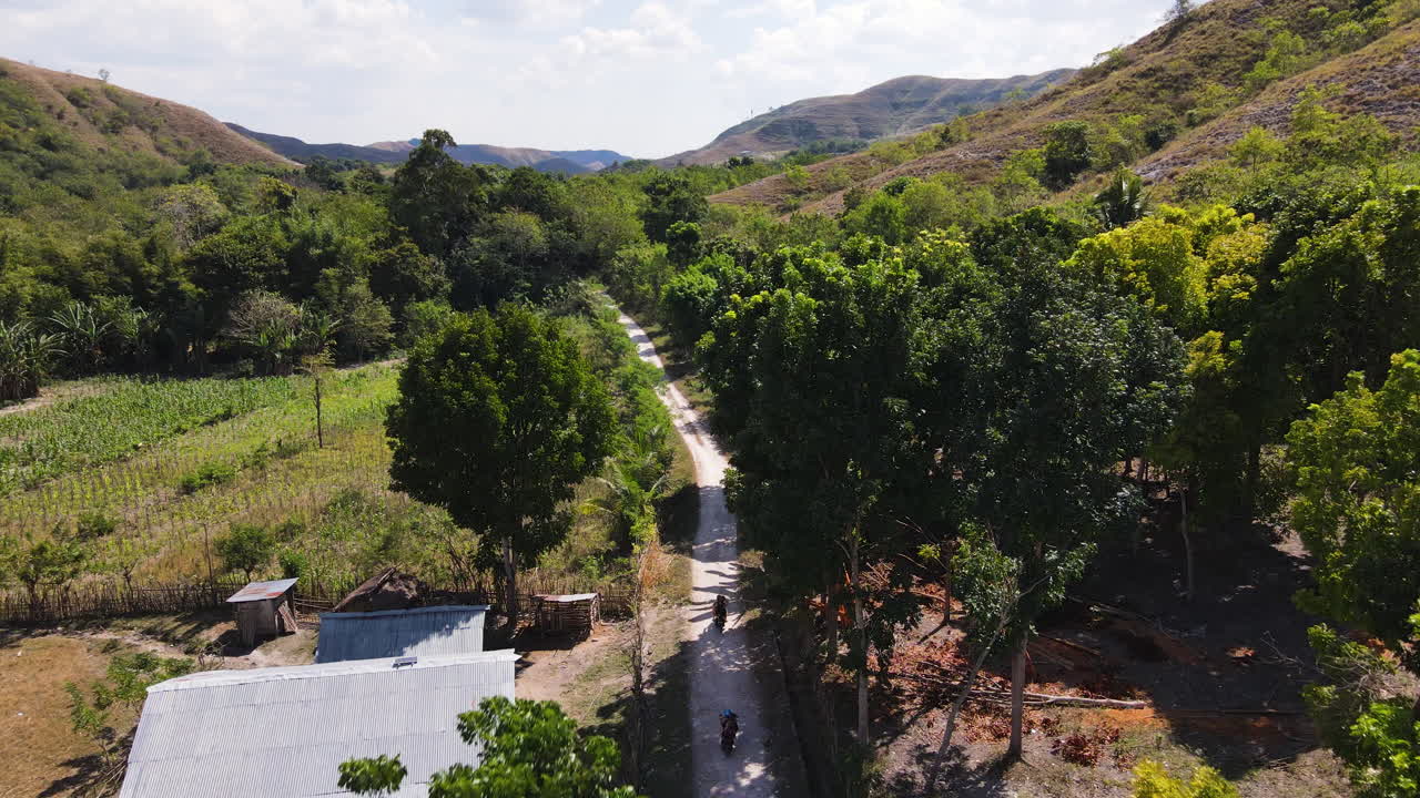 인도네시아 동부 누사 텐가라 주 수마 섬 의 시골 산 마을 의 거리 위 를 날아다니고 있다