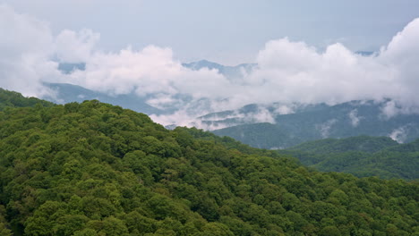 a moody drone sweep through the fog-laced smokies