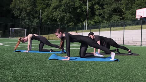 group workout with women doing mountain climbers on yoga mats energetic group of women performs mountain climbers on yoga mats during an intense outdoor fitness session focusing on core strength and cardio