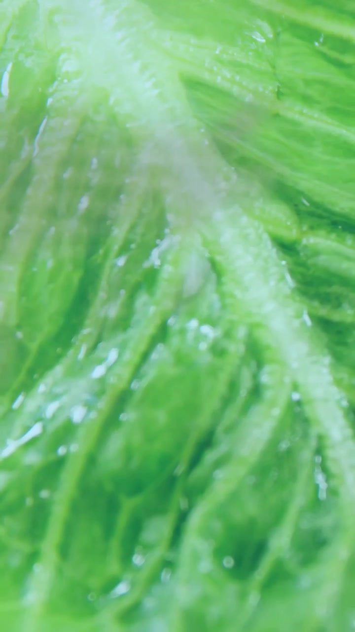 Video verticale: Foglia che si muove vicino a una griglia LED, la telecamera panoramica provoca una sovrapposizione di codice, gocce per il foodtech