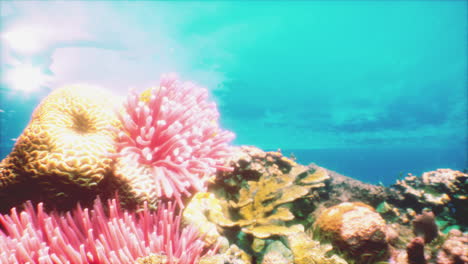 vibrant underwater coral reef scene