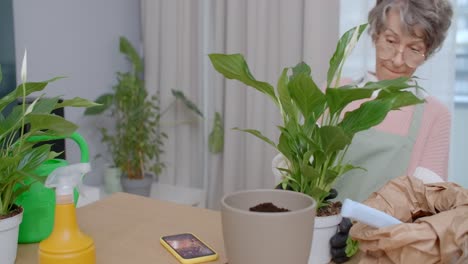 elderly woman repotting peace lilies