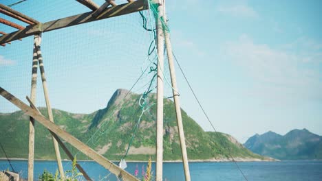 cod fish drying rack with net on the shore in grunnfarnes, senja island, norway