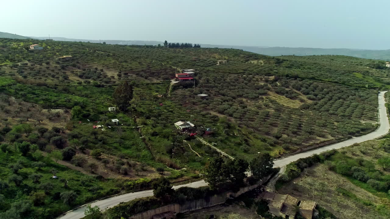 huerto de olivos y naranjos en la ladera de una colina en sicilia, italia