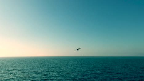 cinemagraph of bird is flying above the ocean, seamless 4k loop video