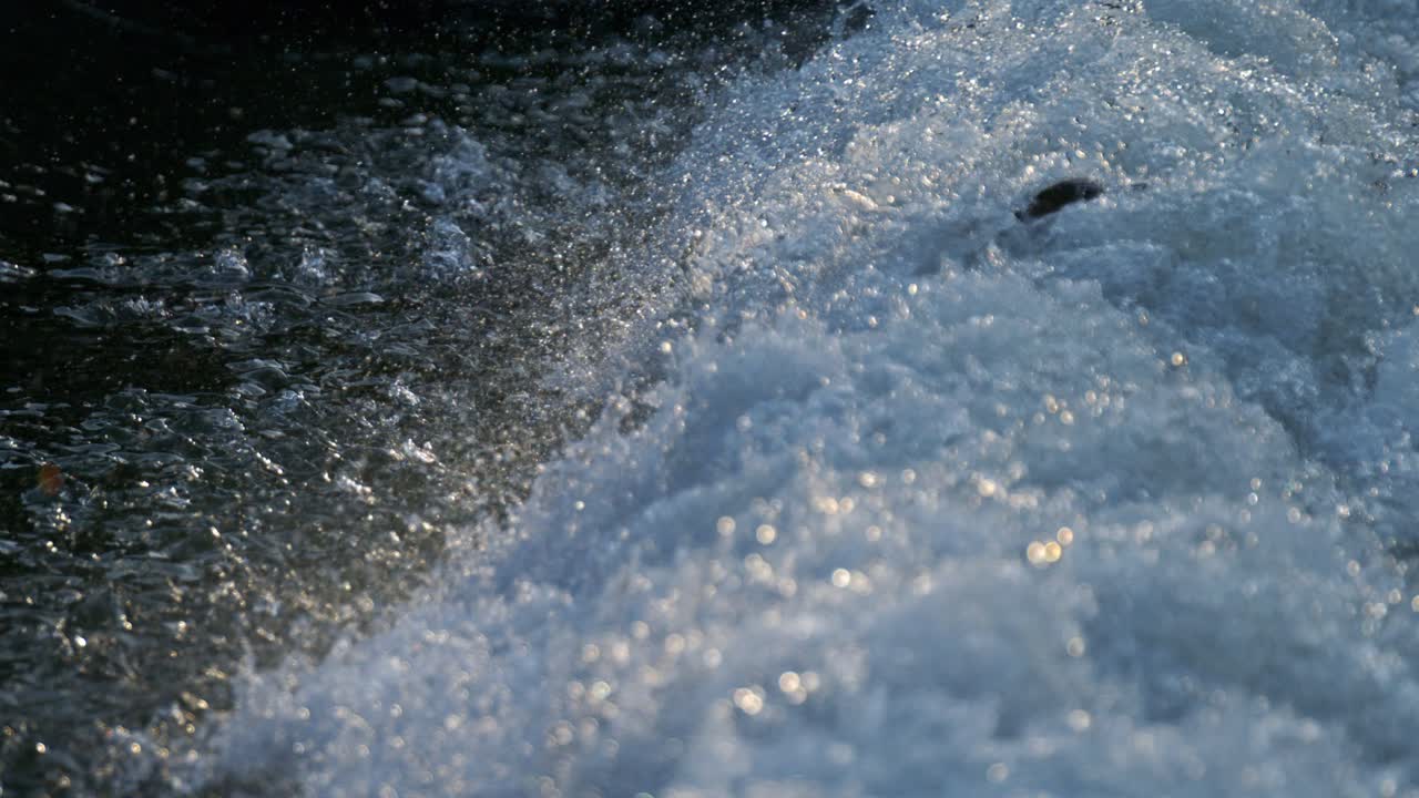 Super slowmotion of duck jumping to water stream flowing splashing with bubbles and reflections and shades