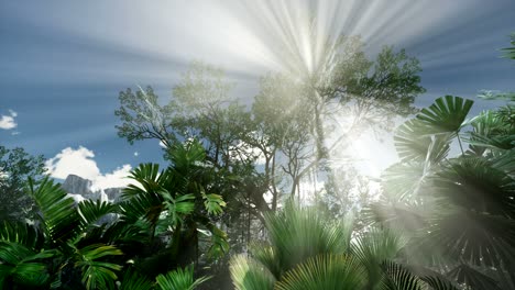 sunset beams through palm trees