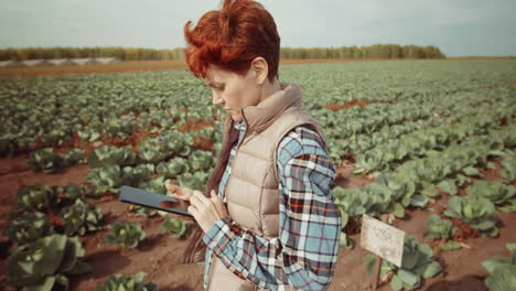 agricultora que usa una tableta digital en el campo