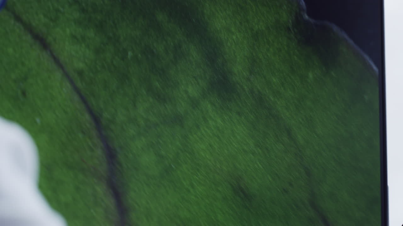 un vistazo más de cerca a la naturaleza