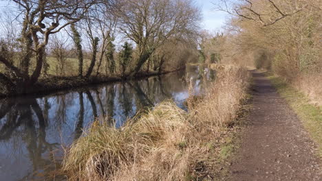 walking along the basingstoke canal