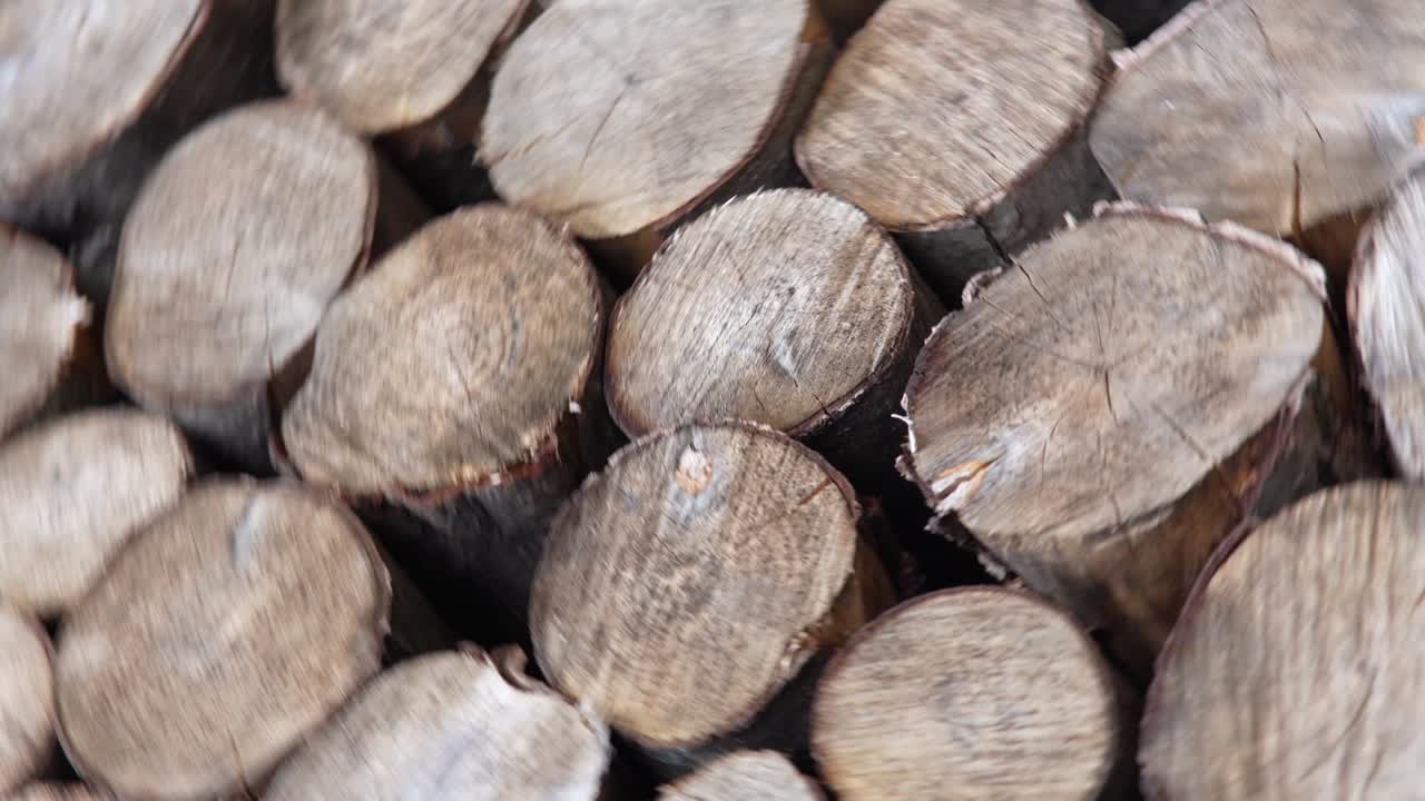목재의 어리, 목재 저장소, 불타는 나무를 잘라 나무 줄기 줄기를 어 놓고 준비, 카메라의 원형 움직임