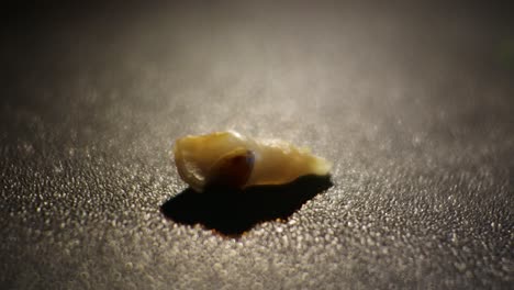 close up child milk tooth, hd video