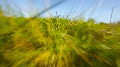 point of view of an animal running fast, escaping, through grass blades, on a green field