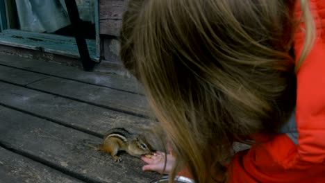 ardilla comiendo de la mano de una chica