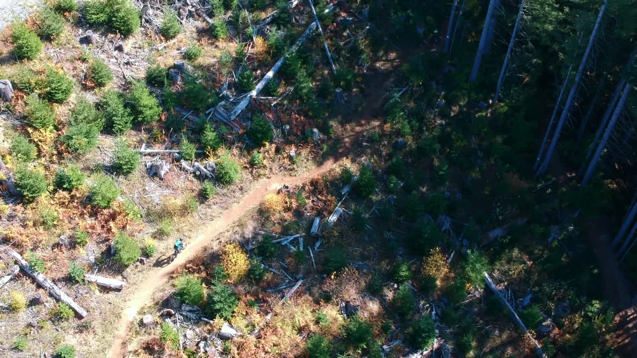 태평양 북서부의 아름다운 여름날 트레일을 따라 산악자전거를 탄 사람들의 드론 영상