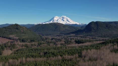 mount rainier on a clear day with snow capped peaks and forest in foreground. aerial
