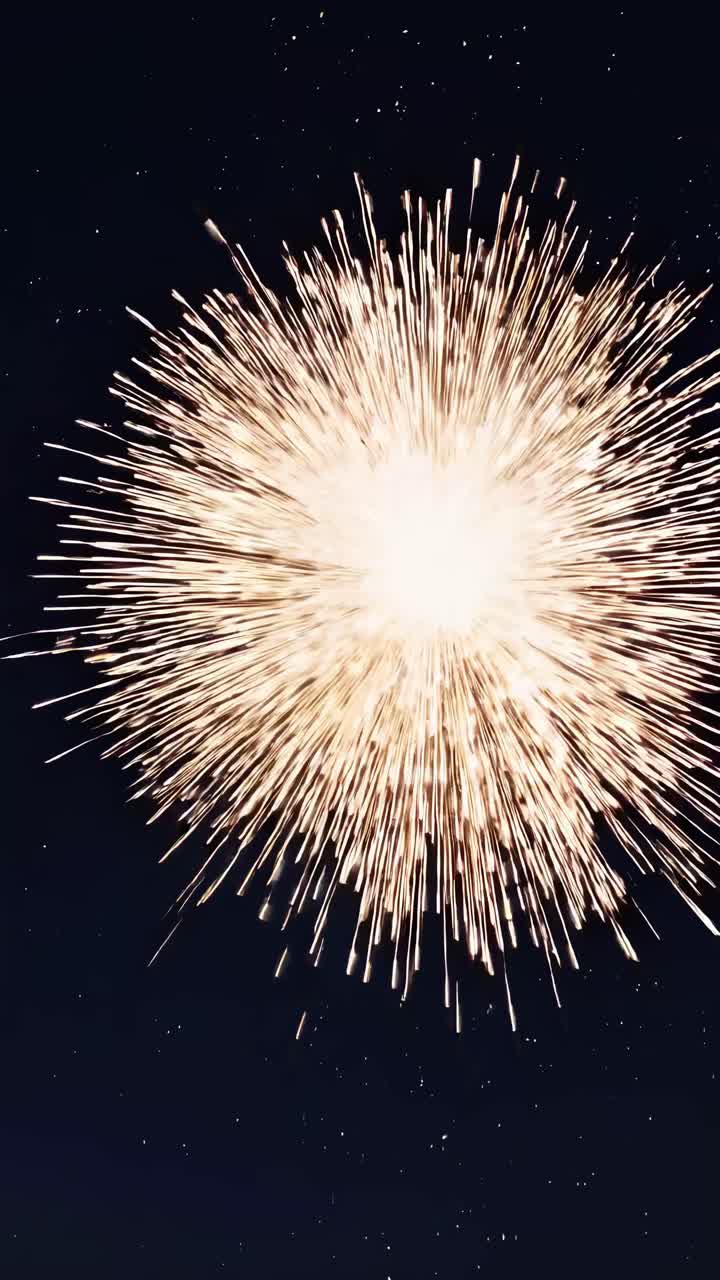 Una vivace esplosione di fuochi d'artificio catturata da un'angolazione bassa, che crea un'immagine dinamica e celebrativa