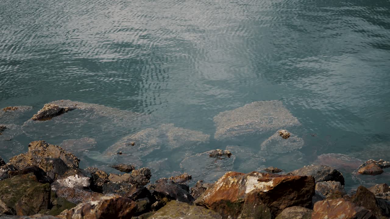 Litorale roccioso al porto di Ushuaia in Terra del Fuoco, Patagonia, Argentina