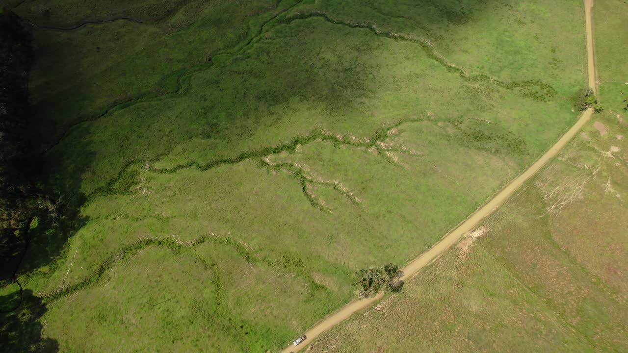 Aerial View of a Dirt Road Winding Through a Lush Green Grassland