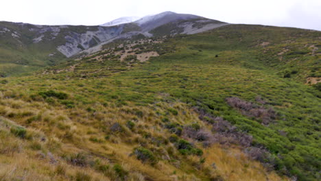 toma panorámica lenta que muestra la hierba rural que crece en las montañas durante el cielo brillante