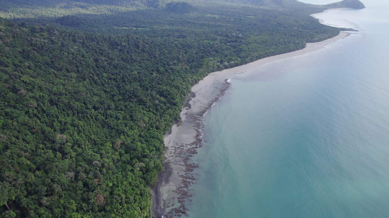 interminables bosques y montañas del parque nacional daintree en el norte de queensland, australia