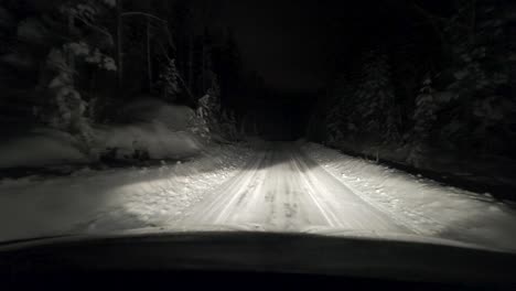driving on the winter road during nighttime. pov